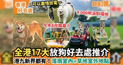 放狗好去處2026|落雨放狗都得 17大全港室內室外地點推介 屯門/元朗/九龍
