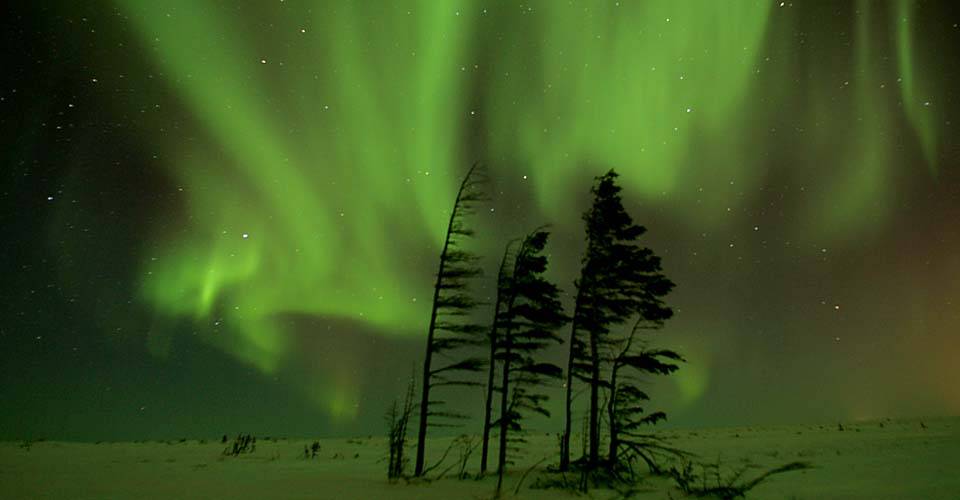 Polar-Bears-Tundra-Lodge-Town-9-northern-lights