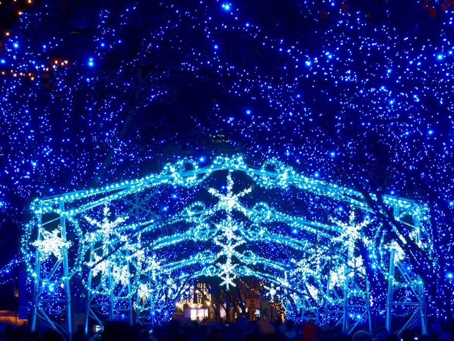2014 大阪 聖誕。6大地區燈飾散策