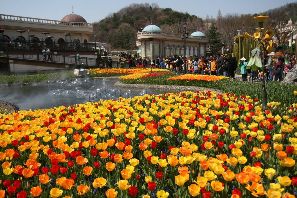 花祭 圖片來源：7878korea