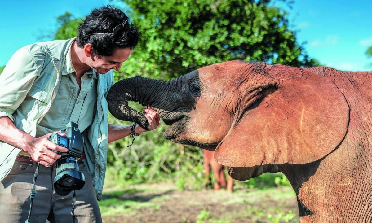 救地球 Sean 大讚肯亞小象可愛到爆。