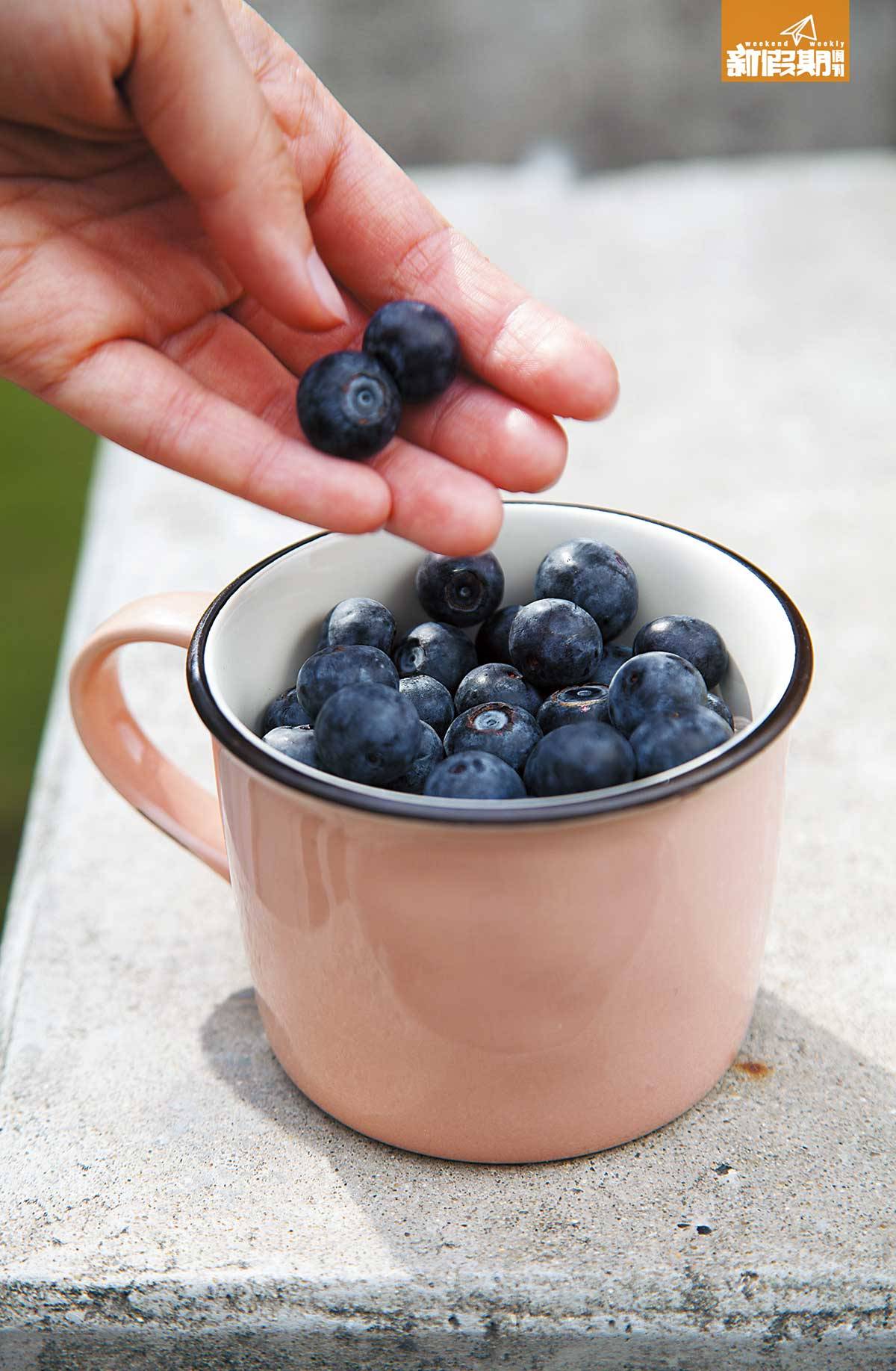 野餐食物 1.在杯底先放一片已包保鮮紙的發泡膠，再將藍莓放入杯中。