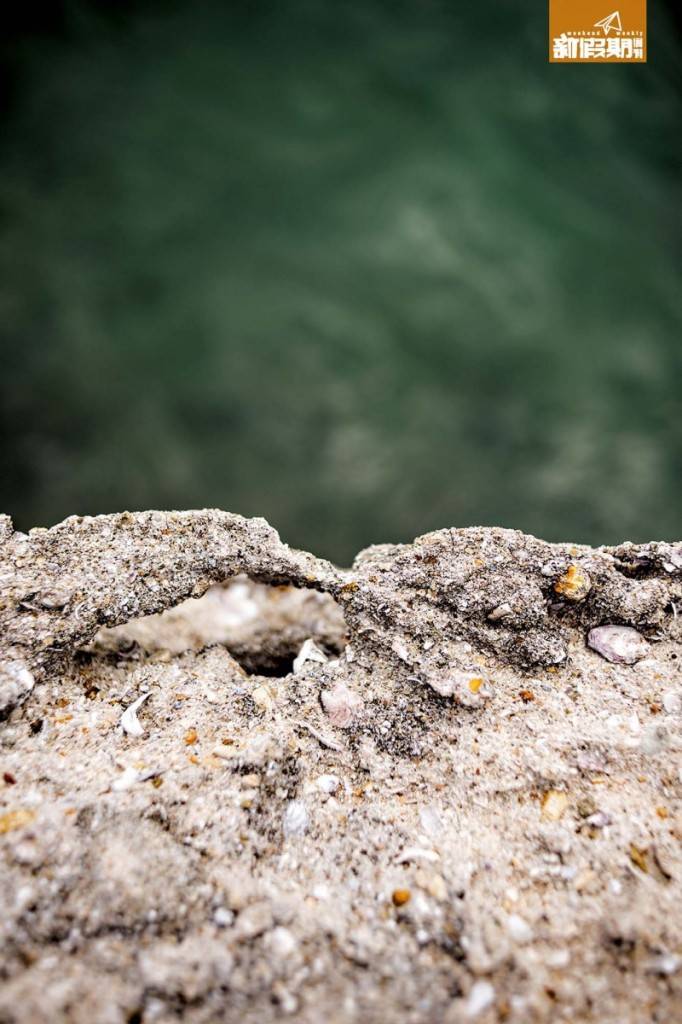 北潭涌 堤圍建材就地取材，在斷掉處見微顆貝殼、沙石等。