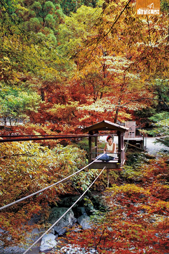 日本紅葉 四國 德島 「野猿」完全是手動，坐到木轎上想渡河，全靠自己拉動繩索的! 沒力氣拔河的話，只好向河邊的人求救，協力拉動繩子推動。