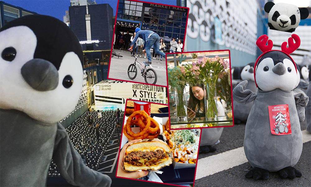 【首爾旅遊】期間限定！超可愛千隻企鵝展～新興人氣熱點 COMMON GROUND 커먼그라운드 藍色貨櫃