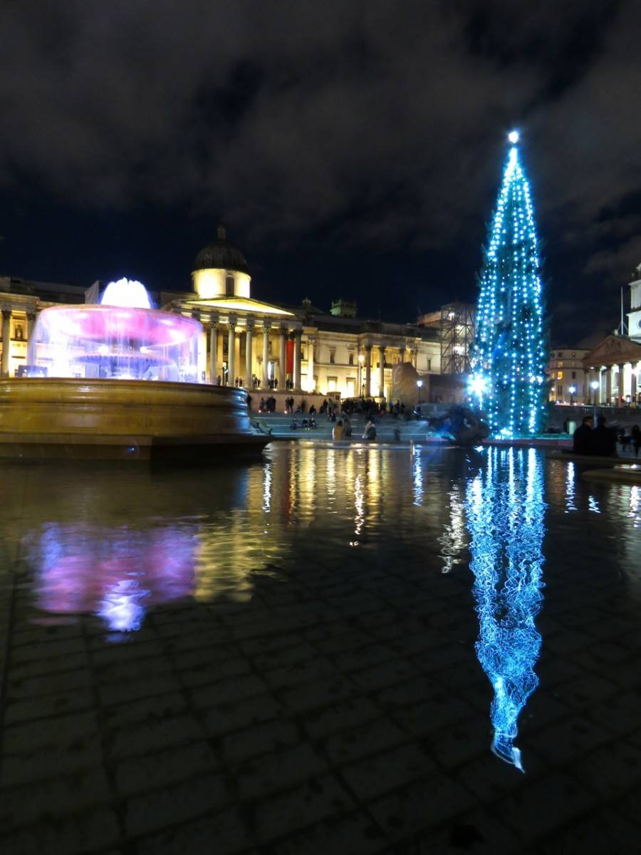 倫敦聖誕 特拉法加廣場來自挪威森林的聖誕樹
