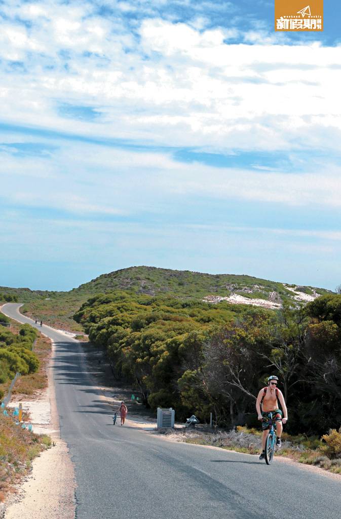 西澳洲 島上對保育甚注重，所以除了指定的工作人員車輛外，遊客只能以租單車代步。