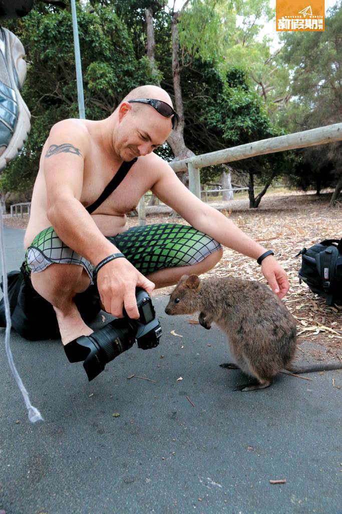 西澳洲 牠們很八卦，很愛來檢查人類的行裝找食物，甚至也愛「研究」相機。