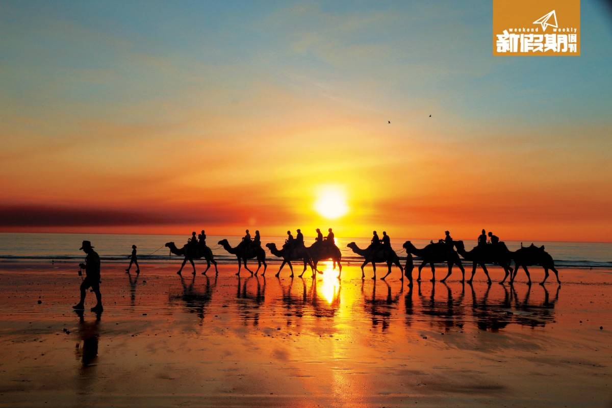 西澳洲 無敵的日落徐徐落入海面，美得不少攝影發燒友都化身狗仔隊般，追著駱駝一直影相。