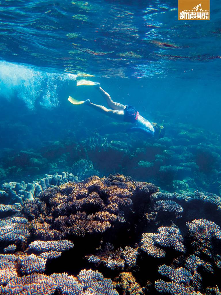 西澳洲 Ningaloo的珊瑚礁多，水流一年四季都差不多，很適合浮潛；但4至8月的水溫較低，約爲19至22度，需要穿潛水衣保暖。