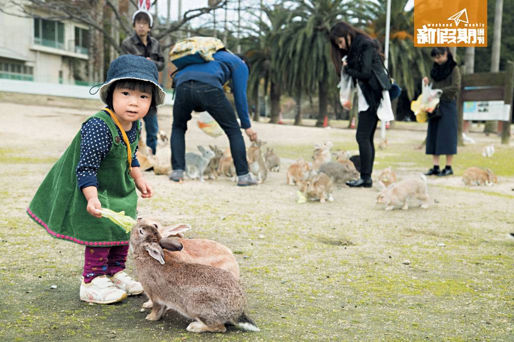 小動物 兔仔非常膽小及脆弱，唔好追趕或者嚇親佢，或試圖抱起或者捉住雙耳，輕輕撫摸好喇。