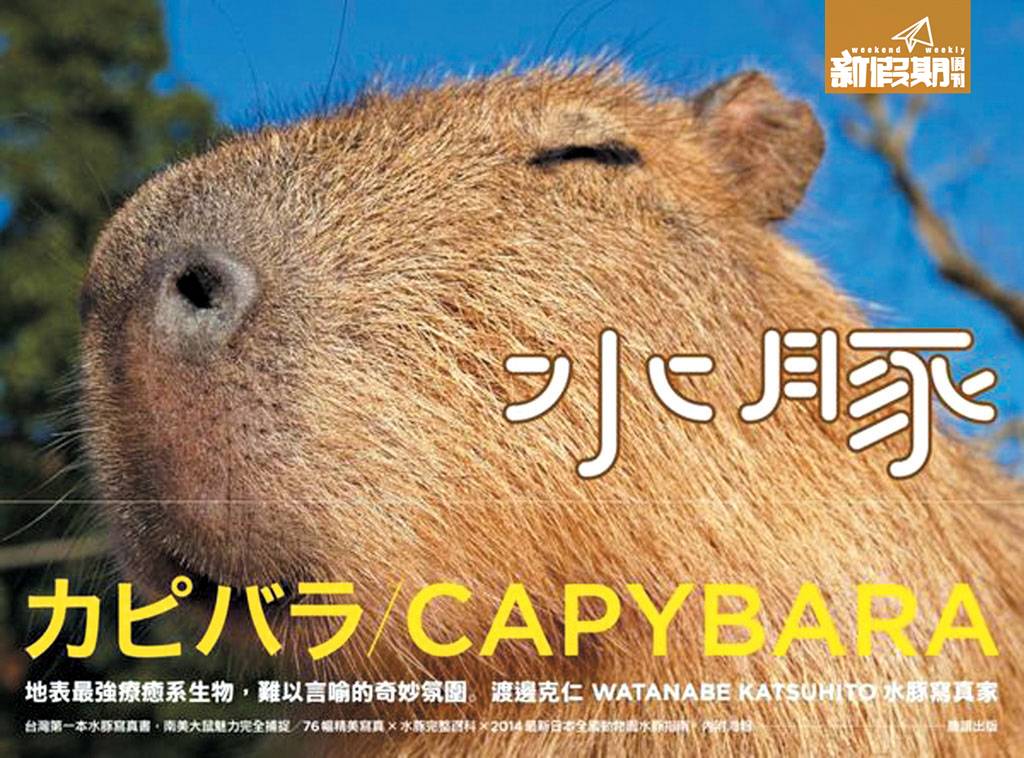 小動物 《Capybara 》寫真集台灣版 NT280/HK$65
