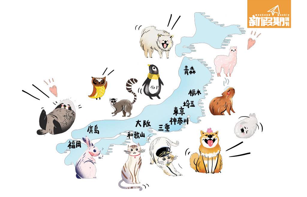小動物 日本治癒地圖
