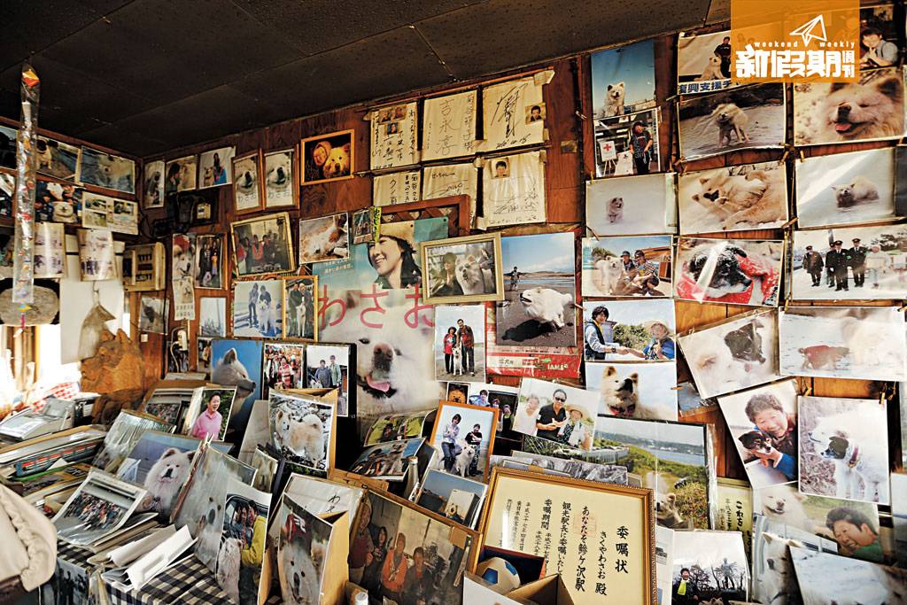 不少名人曾經來探望Wasao，商店內牆上掛滿他們的合照！