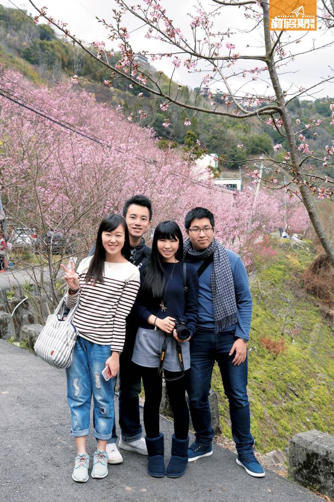 台北人 劉鎮桓：「一連放3日連假，早已約了朋友走遠一點看櫻花，當是一年一度的例行出走！」