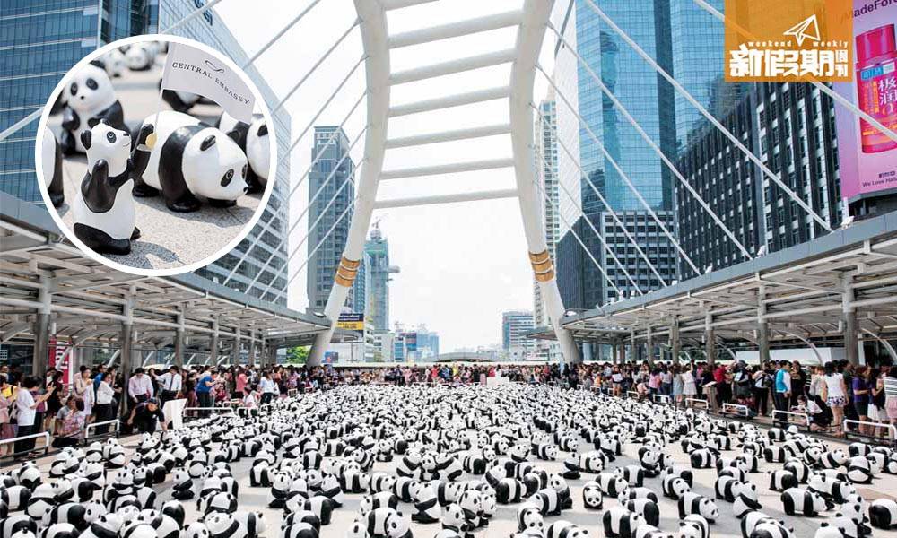 曼谷直擊! 1600超萌熊貓出沒注意 |曼谷|