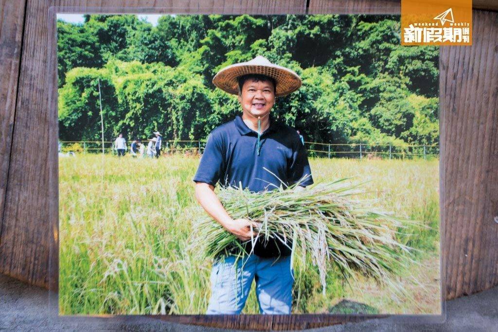 荔枝窩 David 去年再次拿住 荔枝窩村出產的稻米，距離復耕願境跨進了一步。