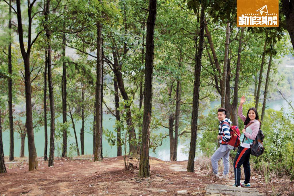 千島湖 水塘乃大欖郊野公園内最主要景點，圍繞它的郊遊徑四通八達。