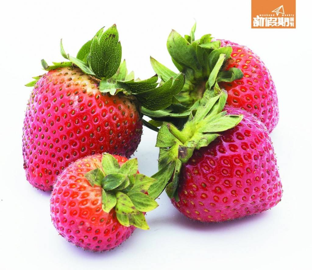 保濕 Strawberry