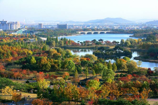放眼看過去全是紅黃綠，秋天的韓國色彩不比春天少！