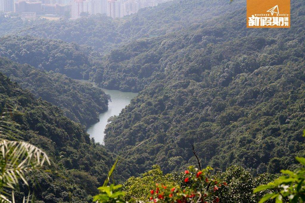 香港仔水塘 從香港仔水塘道可以遠眺群山中的香港仔水塘 。