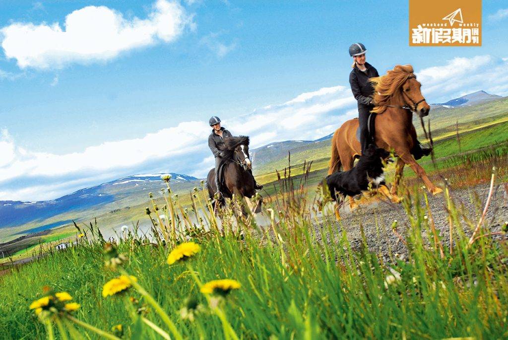 冰島 極光 在冰島騎馬實在難得，可以透過旅行社加購行程。