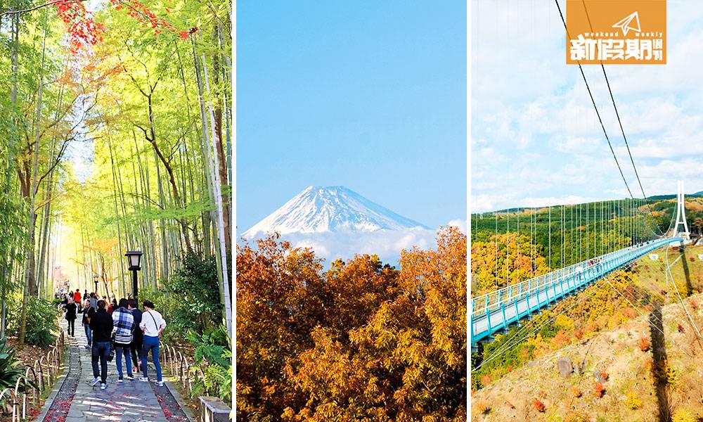 富士山 2日1夜｜東京近郊 伊豆懶人包｜行程：溫泉旅館、日本最長吊橋