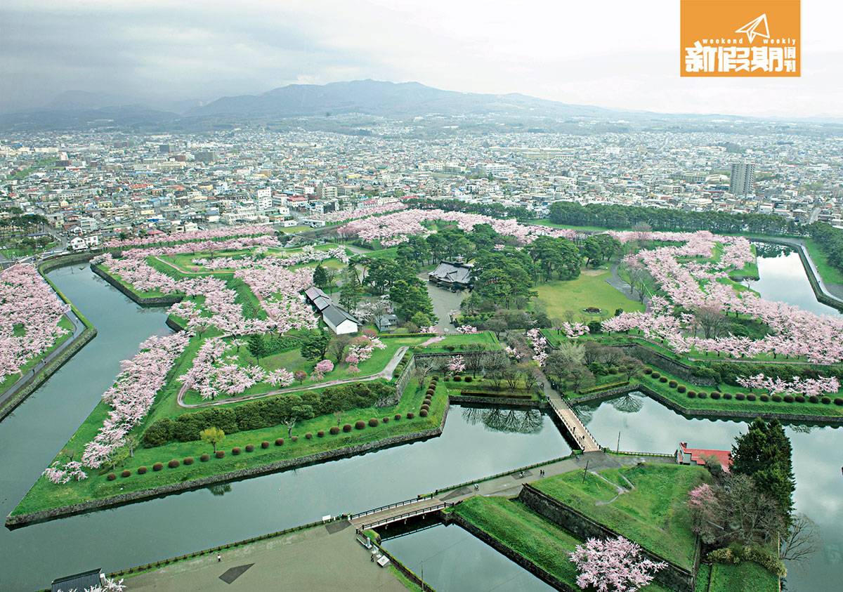 日本自駕遊2022 能把北海道四季景色融合在同一景點中，只有函館的五棱郭。