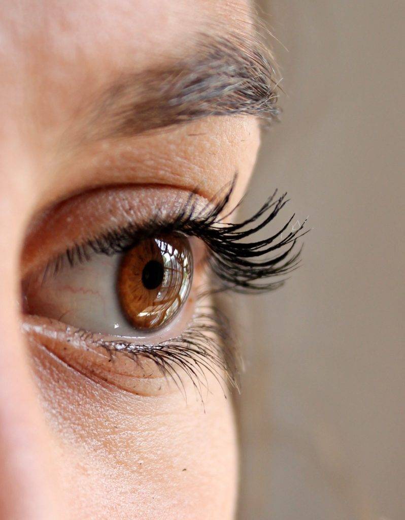 朱古力 可以促進眼睛的血液循環，有助保護眼角膜。