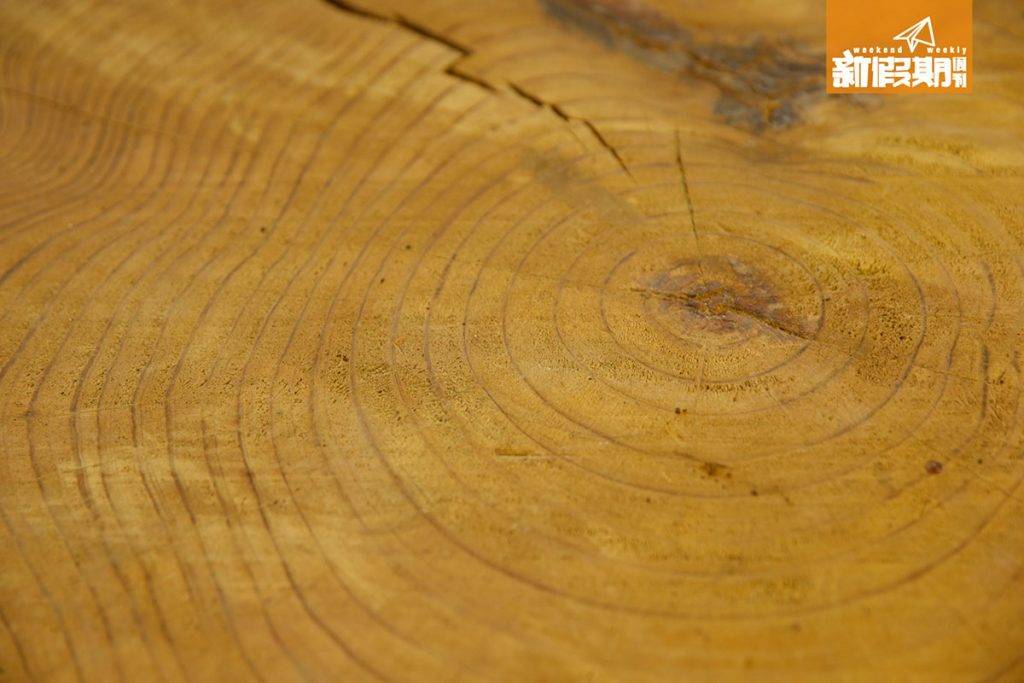 香港原木鎅木廠 樹木上一圈圈的年輪記載著木料的年歲。