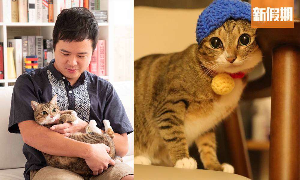 香港情侶偶遇沖繩流浪貓 一千公里外帶牠歸家 非名種貓但同樣值得被寵愛｜呢個香港人
