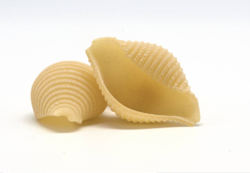 貝殼粉Conchiglioni，外形與貝殼相似因而得名。