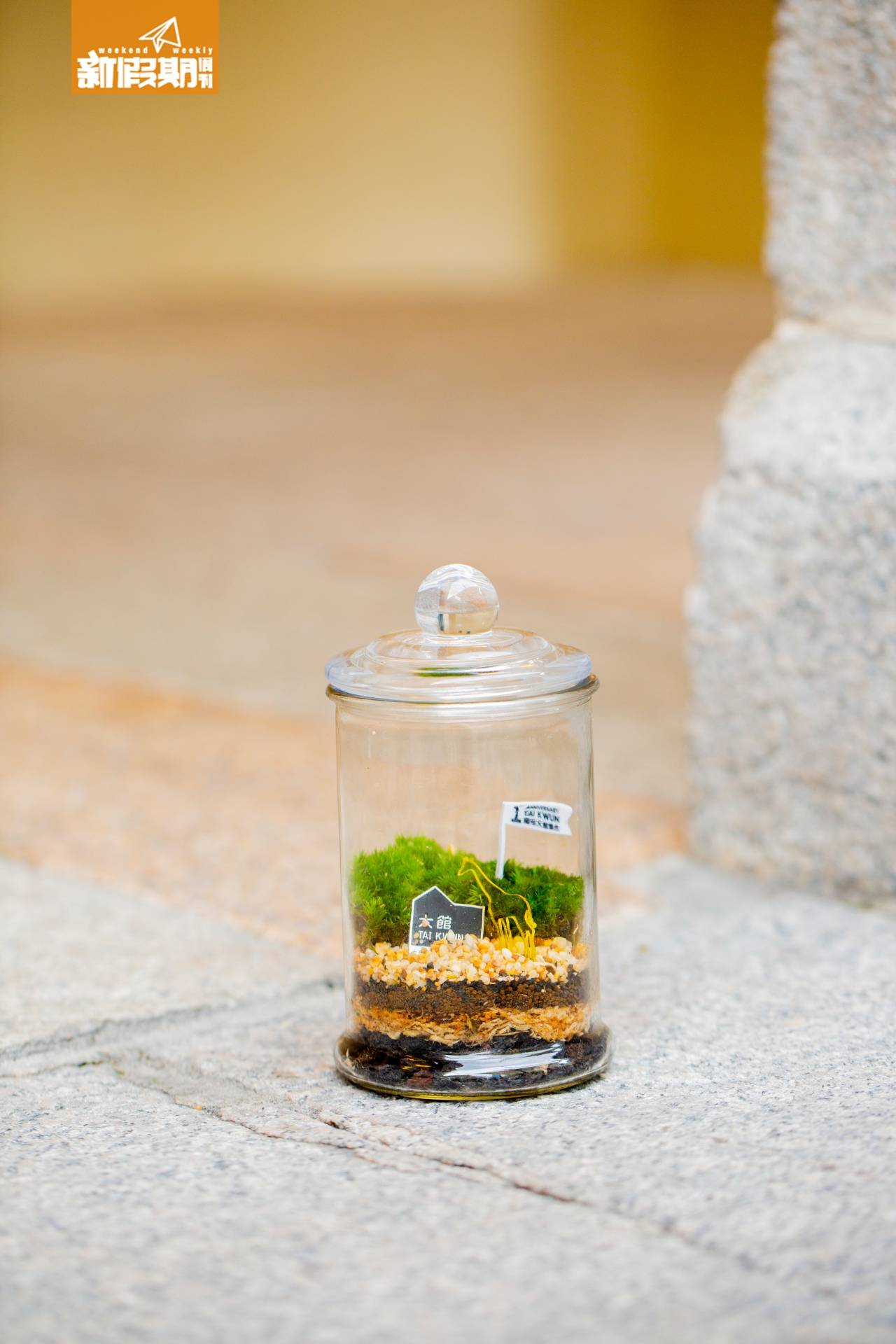 大館, 聯乘, 優惠券, taikwun, 限量版,