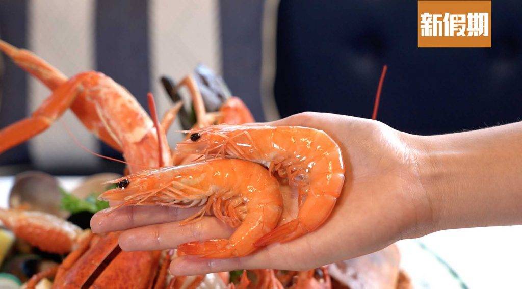 黃金海岸 海蝦尺寸不小，肉質彈牙。