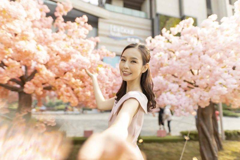 櫻花 來到櫻花祭，又怎能不與櫻花樹影相留念！