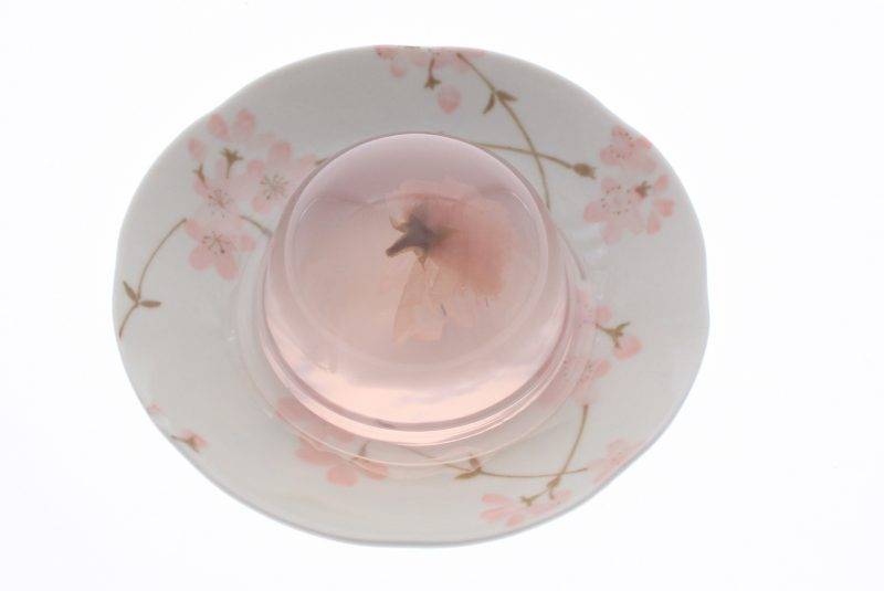 櫻花 正氣屋製菓櫻花花瓣啫喱 $49.9（原價$59.9）  3件裝，微甜且晶瑩剔透果凍內加入櫻花，外表非常夢幻。