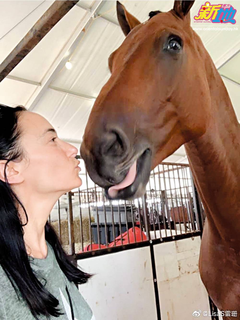  老婆Lisa S.屬愛馬之人，在美國家中養有多匹寵物馬。
