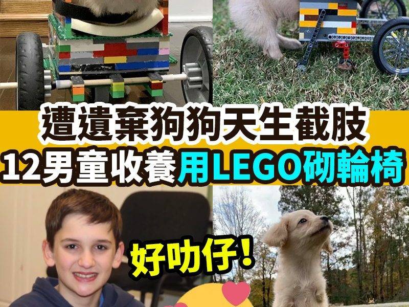 【#網絡熱話】｜男童用LEGO幫愛犬砌輪椅