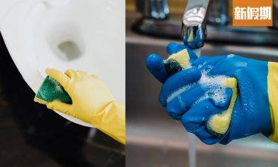 百潔布清潔｜揭露廚房細菌集中營，專家建議的正確清潔法