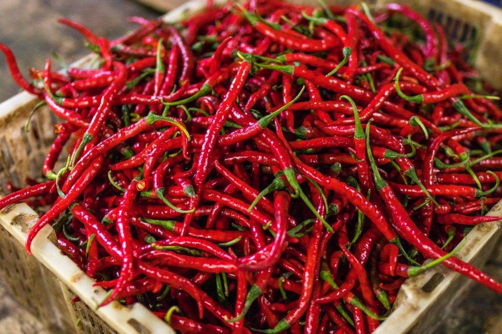 帶飯 把辣椒過度加熱的話，容易起火。
