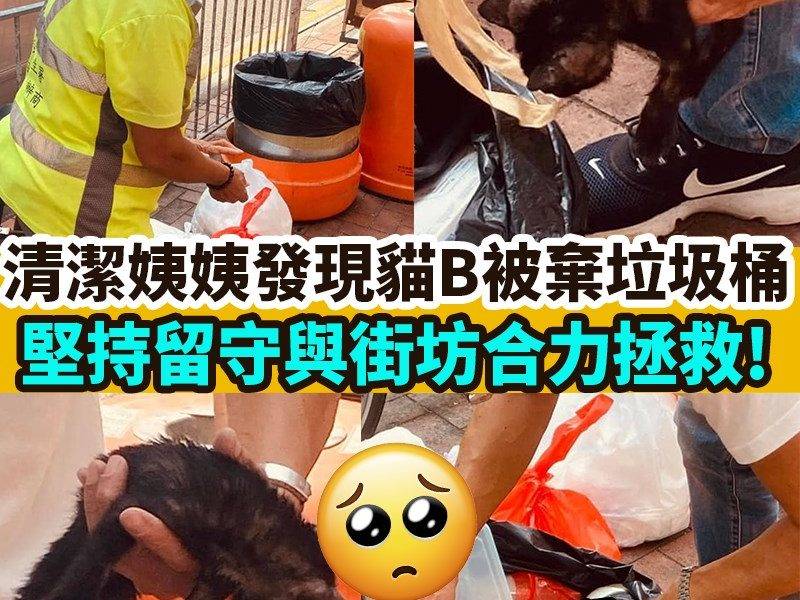 【#網絡熱話】清潔姨姨與街坊合力救貓B