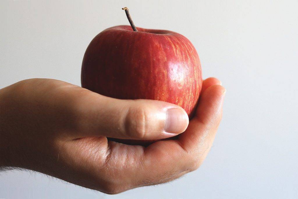 168斷食法 減肥 中蘋果。