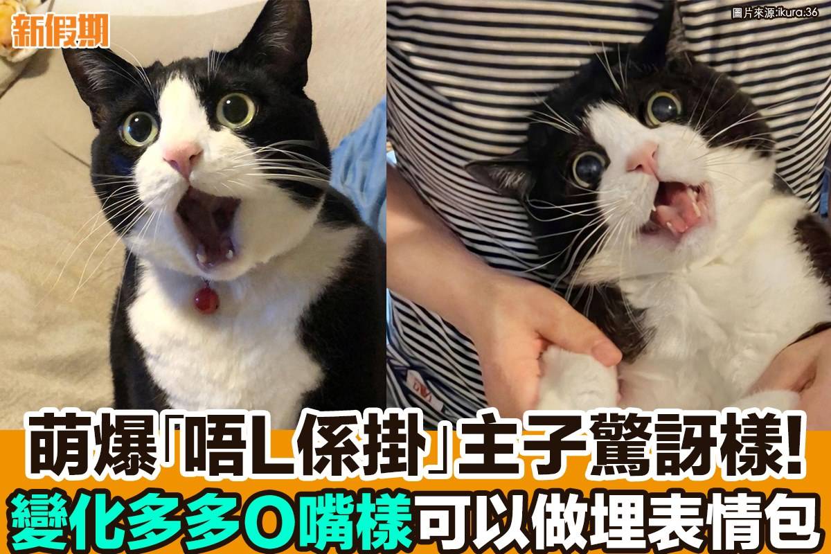 想即時收到全港熱話資訊？下載App就唔會錯過啦：