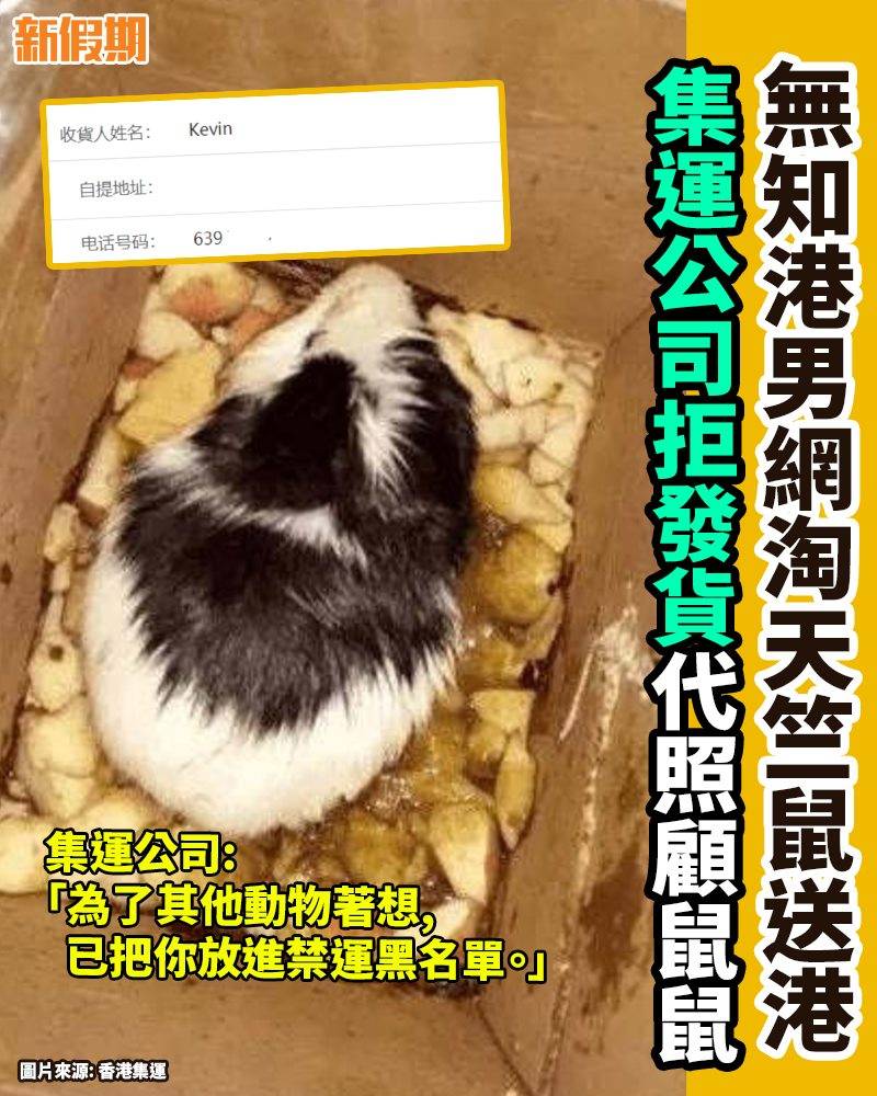 網絡熱話 港男網淘天竺鼠送港 新假期facebook 新假期