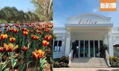 大埔小白鷺餐廳Billow重開！ 超靚打卡鬱金香花海+3,000呎歐陸風湖景户外歎下午茶｜區區搵食