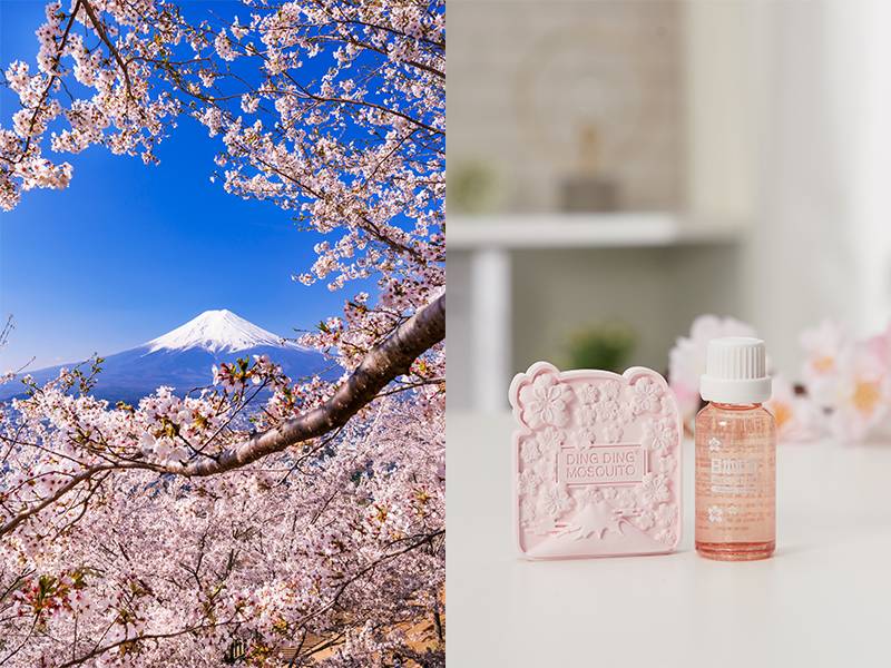 這款芳香石配備櫻花香精油20ml，好啱春夏日子使用；更刻有櫻花及富士山圖案為造型設計，讓人不期然聯想起日本著名櫻花場所的美景！