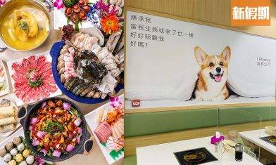 觀塘「為食火鍋公司」雞煲火鍋放題 最平$238起+$15丼飯！小哥基主題＋30款配料：刺身＋海鮮＋肥牛＋甜品｜自助餐我要