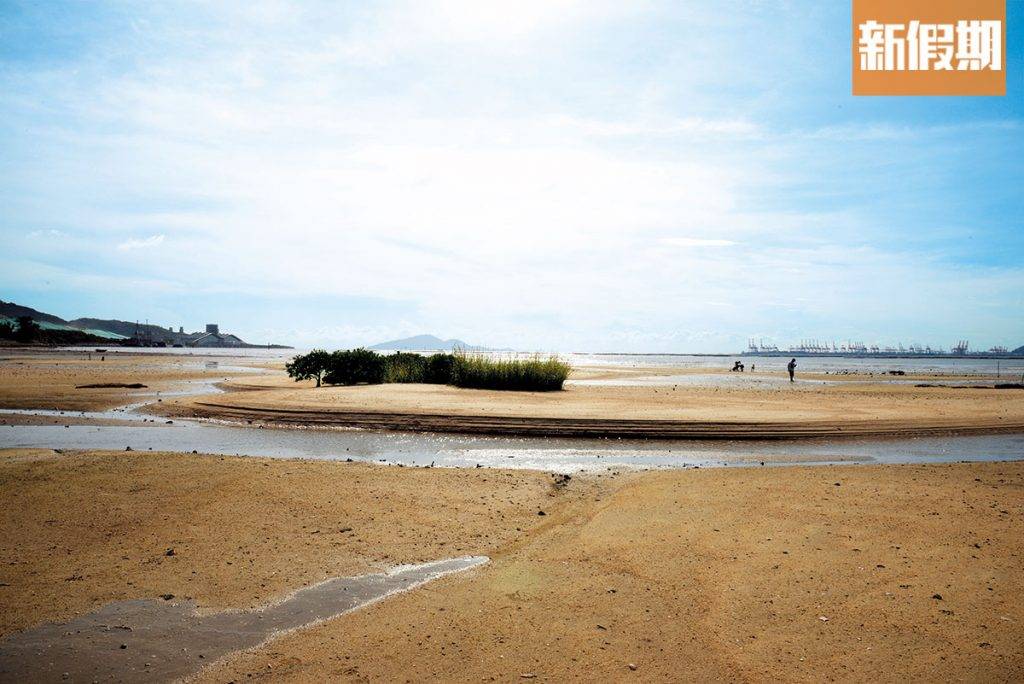 摸蜆 海星灣水清沙幼，是個風景怡人的沙灘。