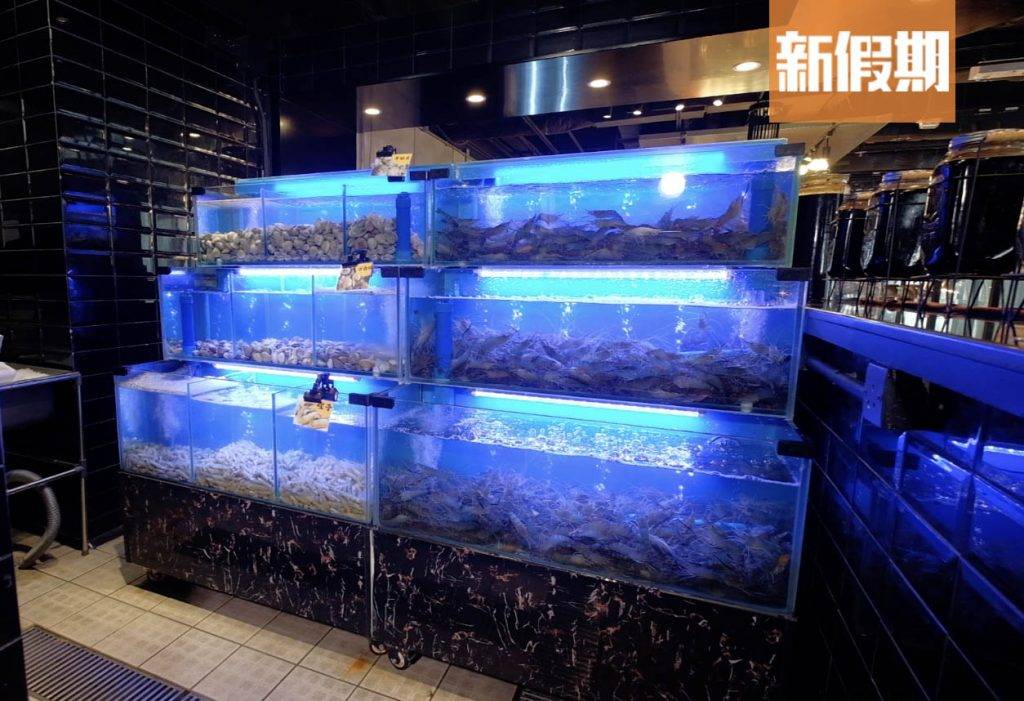JK Brother's Gold 食客可以從三層魚缸撈起海鮮。