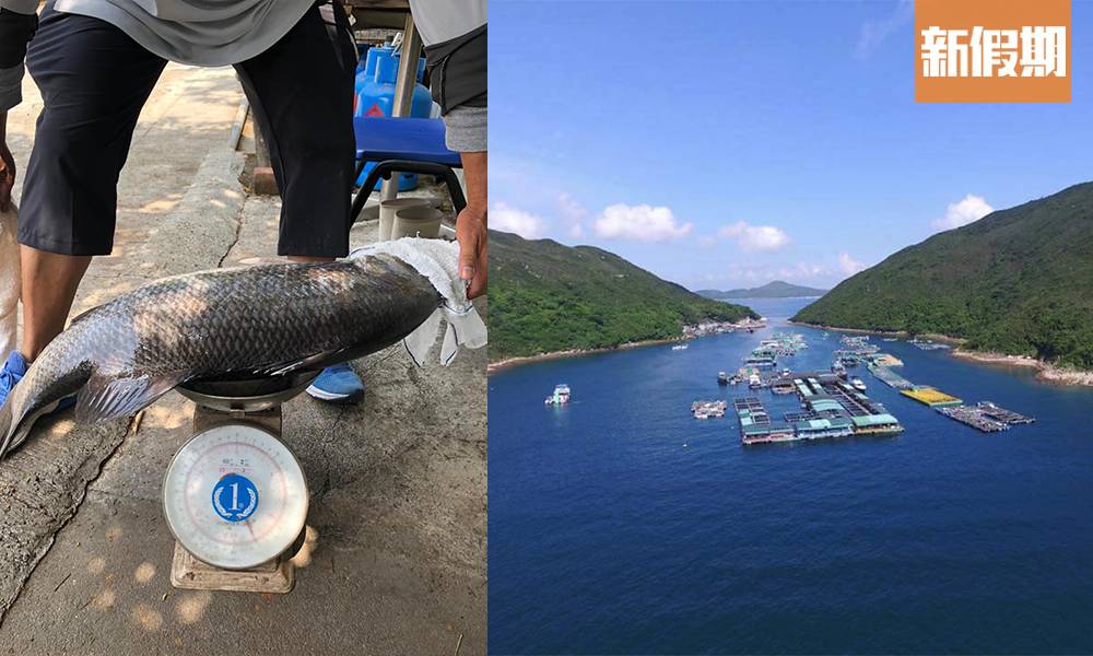 釣魚場合集 香港5大靚景釣魚場 睇住日落釣魚鹹淡水魚都有最快15分鐘去到 香港好去處 新假期 釣魚場合集 香港5大靚景釣魚場 睇住日落釣魚鹹淡水魚都有最快15分鐘去到 香港好去處 新假期